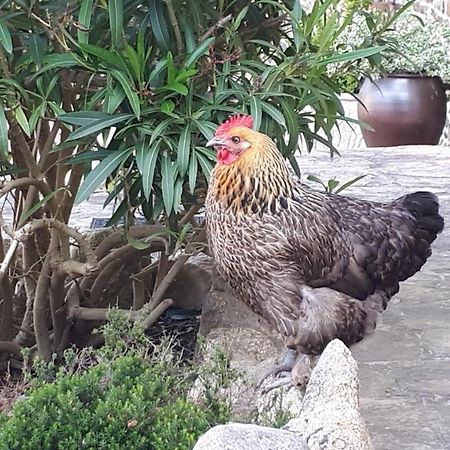 Les Sources Bed and Breakfast Poilley  Εξωτερικό φωτογραφία