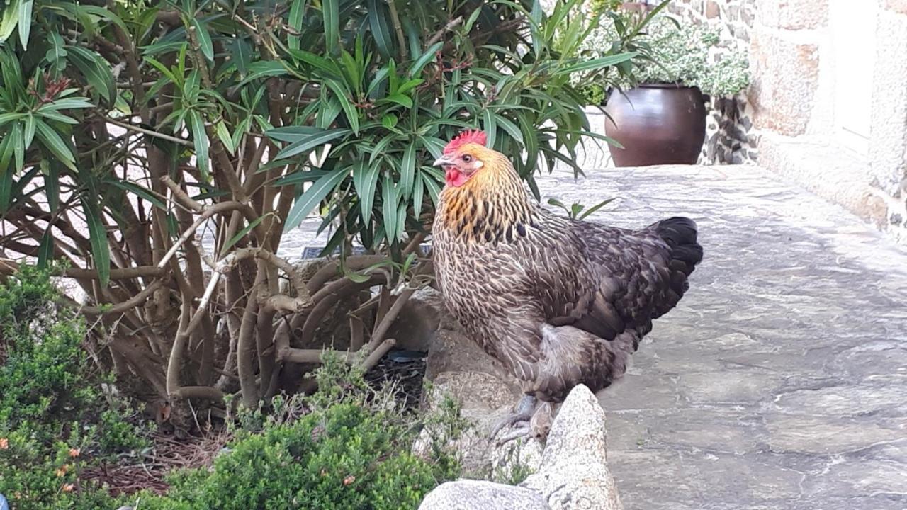 Les Sources Bed and Breakfast Poilley  Εξωτερικό φωτογραφία