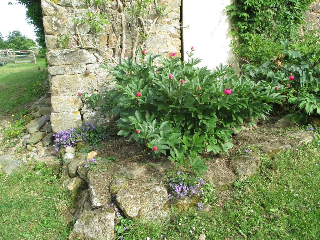 Les Sources Bed and Breakfast Poilley  Εξωτερικό φωτογραφία